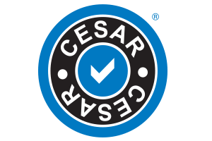 CESAR Scheme